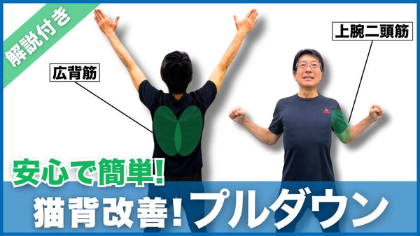 【解説付き】猫背予防改善トレーニング高齢者も安心簡単プルダウン